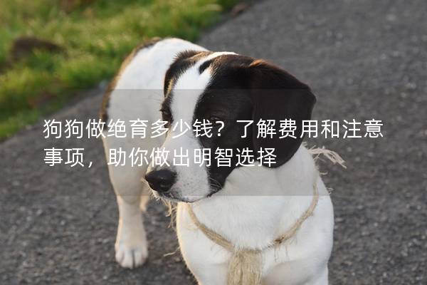 狗狗做絕育多少錢？了解費用和注意事項，助你做出明智選擇